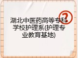 湖北中医药高等专科学校护理系(护理专业教育基地)