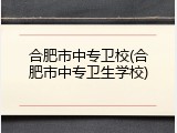 合肥市中专卫校(合肥市中专卫生学校)