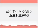 咸宁卫生学校(咸宁卫生职业学院)