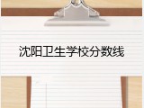 沈阳卫生学校分数线