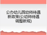 公办幼儿园幼师待遇新政策(公幼师待遇调整新规)
