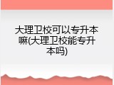 大理卫校可以专升本嘛(大理卫校能专升本吗)