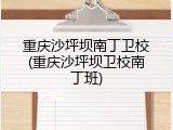重庆沙坪坝南丁卫校(重庆沙坪坝卫校南丁班)