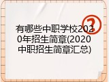 有哪些中职学校2020年招生简章(2020中职招生简章汇总)
