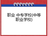 职业 中专学校(中等职业学校)