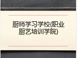 厨师学习学校(职业厨艺培训学院)