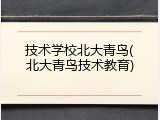 技术学校北大青鸟(北大青鸟技术教育)