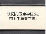 沈阳市卫生学校(沈市卫生职业学校)