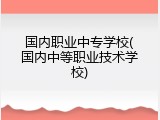 国内职业中专学校(国内中等职业技术学校)