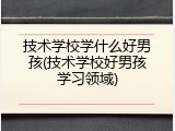 技术学校学什么好男孩(技术学校好男孩学习领域)