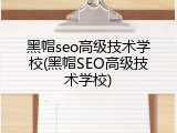 黑帽seo高级技术学校(黑帽SEO高级技术学校)