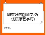 哪有好的厨师学校(优质厨艺学府)