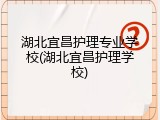 湖北宜昌护理专业学校(湖北宜昌护理学校)