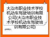 大冶市职业技术学校机动车驾驶培训有限公司(大冶市职业技术学校机动车驾驶培训有限公司)