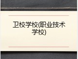 卫校学校(职业技术学校)