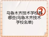 乌鲁木齐技术学校有哪些(乌鲁木齐技术学校名单)