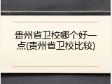 贵州省卫校哪个好一点(贵州省卫校比较)