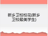 新乡卫校校花(新乡卫校最美学生)