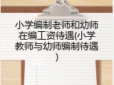 小学编制老师和幼师在编工资待遇(小学教师与幼师编制待遇)