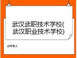 武汉武职技术学校(武汉职业技术学校)