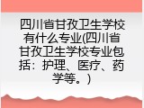 四川省甘孜卫生学校有什么专业(四川省甘孜卫生学校专业包括：护理、医疗、药学等。)