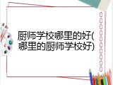 厨师学校哪里的好(哪里的厨师学校好)