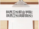 陕西卫校职业学院(陕西卫校高职院校)