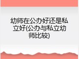 幼师在公办好还是私立好(公办与私立幼师比较)