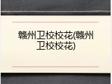 赣州卫校校花(赣州卫校校花)
