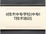 it技术中专学校(中专IT技术培训)
