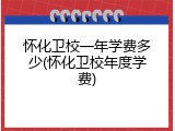 怀化卫校一年学费多少(怀化卫校年度学费)