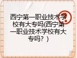 西宁第一职业技术学校有大专吗(西宁第一职业技术学校有大专吗？)