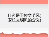 什么是卫校文明风(卫校文明风的含义)