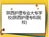 陕西护理专业大专学校(陕西护理专科院校)