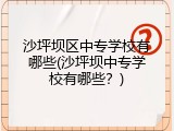 沙坪坝区中专学校有哪些(沙坪坝中专学校有哪些？)