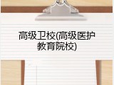 高级卫校(高级医护教育院校)