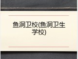 鱼洞卫校(鱼洞卫生学校)