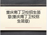 重庆南丁卫校招生简章(重庆南丁卫校招生简章)