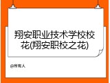 翔安职业技术学校校花(翔安职校之花)