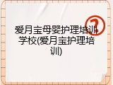 爱月宝母婴护理培训学校(爱月宝护理培训)