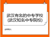 武汉有名的中专学校(武汉知名中专院校)