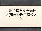 贵州护理学校金海校区(贵州护理金海校区)