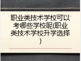 职业类技术学校可以考哪些学校呢(职业类技术学校升学选择)