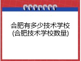 合肥有多少技术学校(合肥技术学校数量)