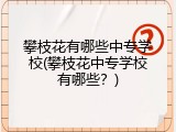 攀枝花有哪些中专学校(攀枝花中专学校有哪些？)