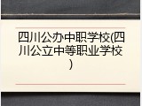 四川公办中职学校(四川公立中等职业学校)