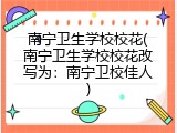 南宁卫生学校校花(南宁卫生学校校花改写为：南宁卫校佳人)