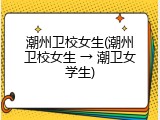 潮州卫校女生(潮州卫校女生 → 潮卫女学生)