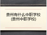 贵州有什么中职学校(贵州中职学校)