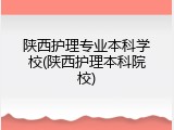陕西护理专业本科学校(陕西护理本科院校)
